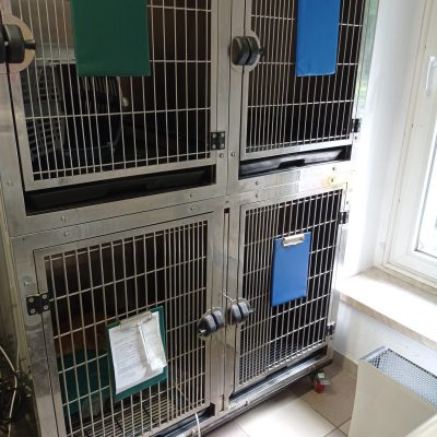 weterynarz-zamosc-sprzet-11