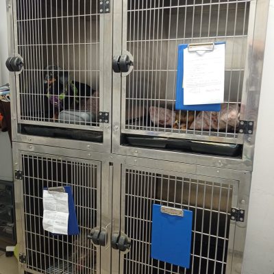 weterynarz-zamosc-sprzet-7